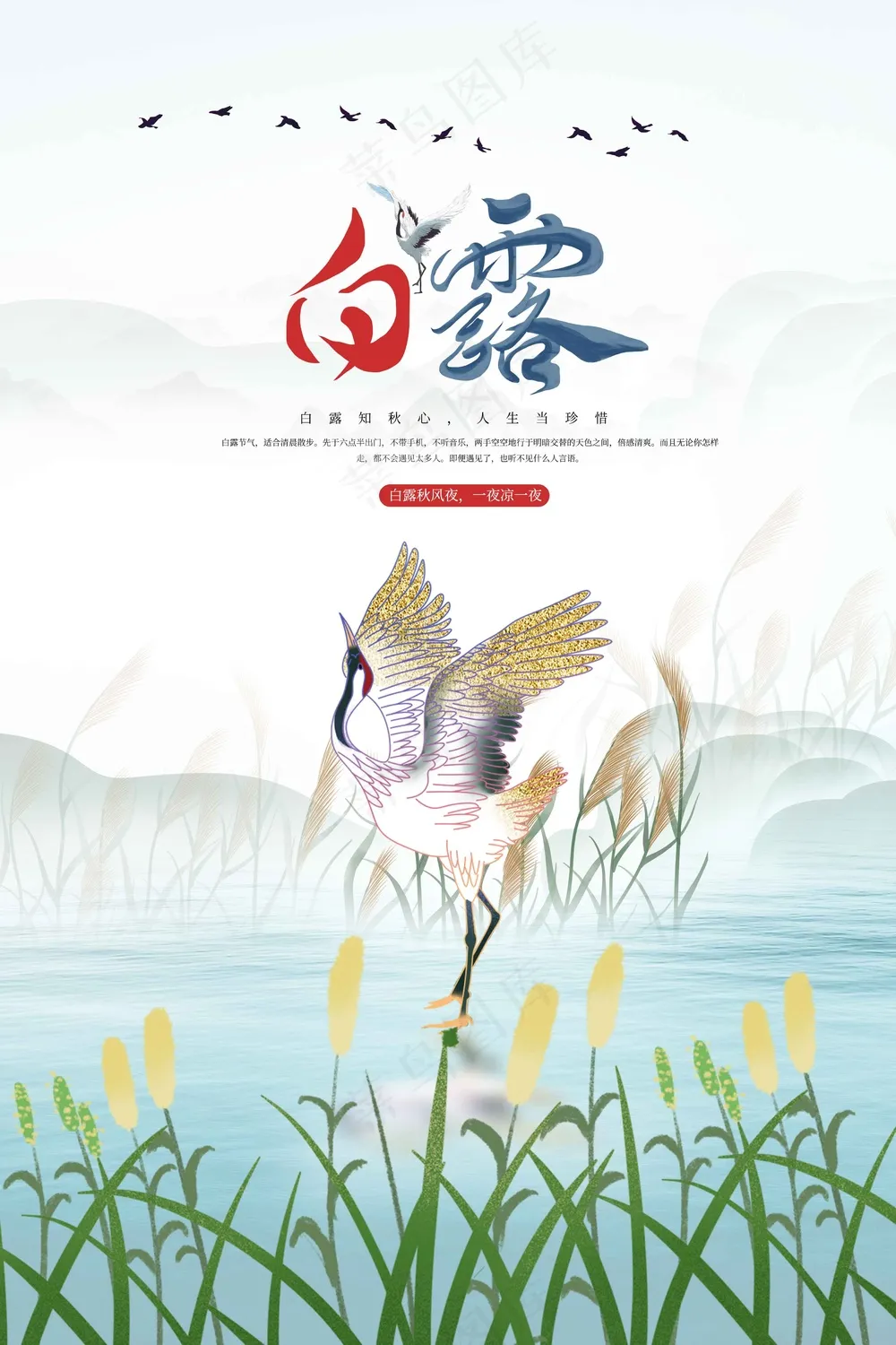 白露节气传统活动宣传海报
