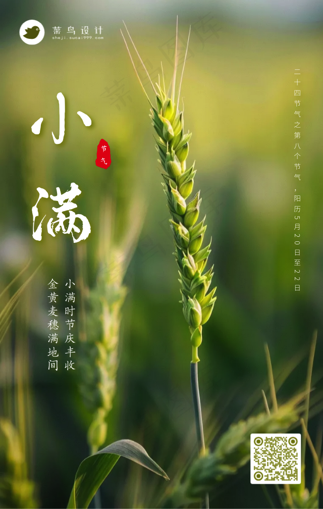 小满手机海报