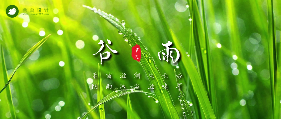 谷雨公众号首图