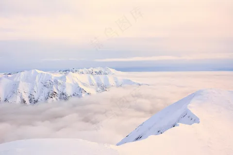 极地之翼：冰原上的孤独飞翔