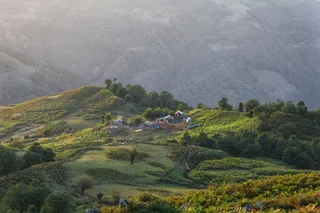绿意盎然的山村晨韵