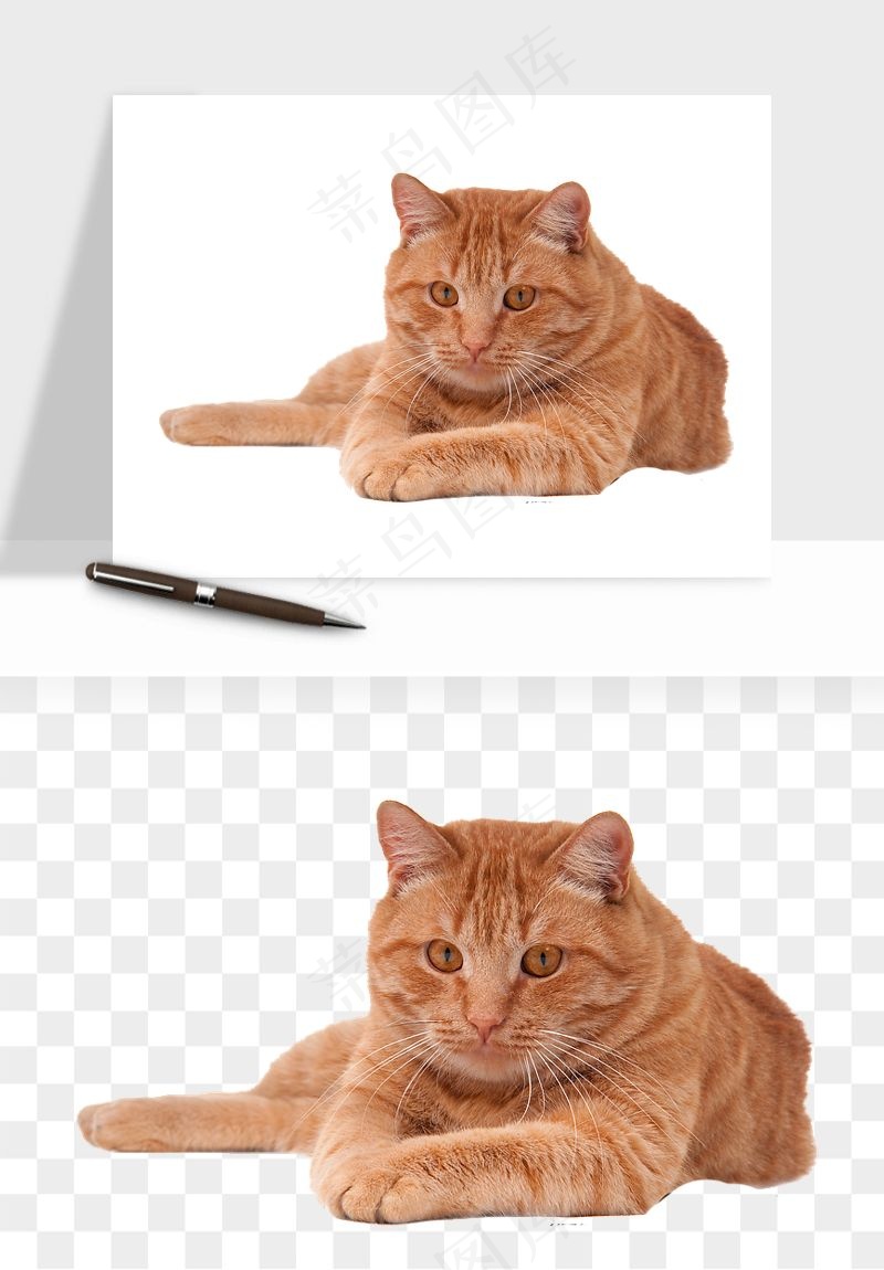 猫咪喵星人狗狗宠物元素png免抠