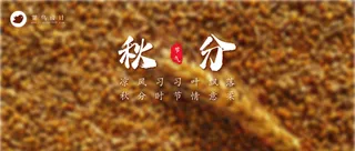秋分公众号首图