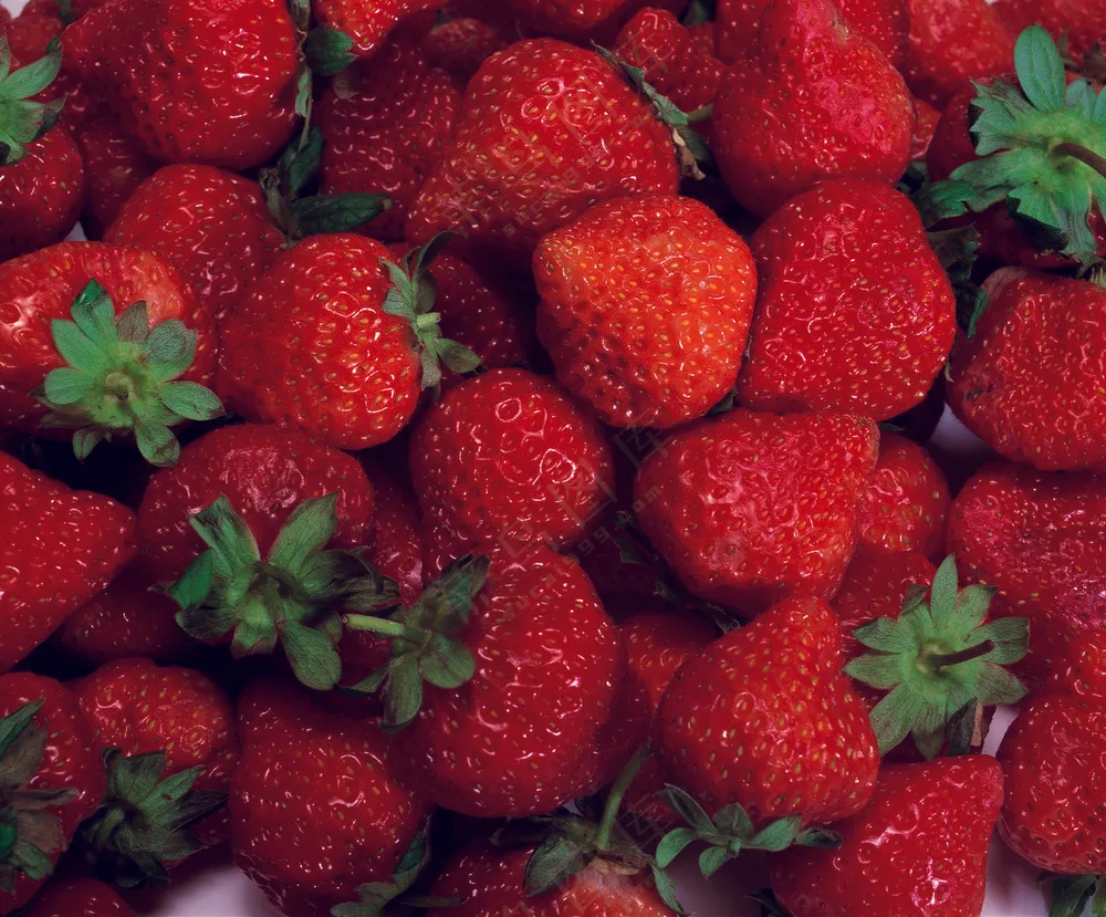 水果草莓图片 (1)