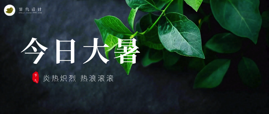 大暑公众号首图