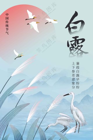 白露节气传统活动海报