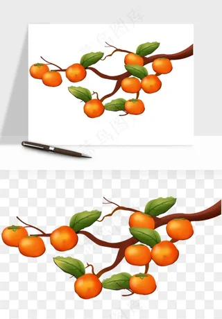 手绘柿子树秋png免抠