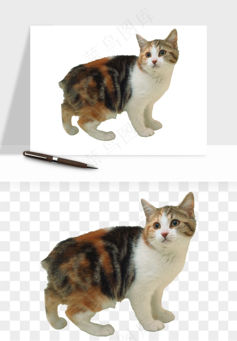 猫咪喵星人狗狗宠物元素png免抠