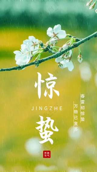 惊蛰节气海报素材