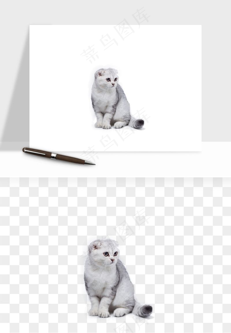 猫咪喵星人狗狗宠物元素png免抠