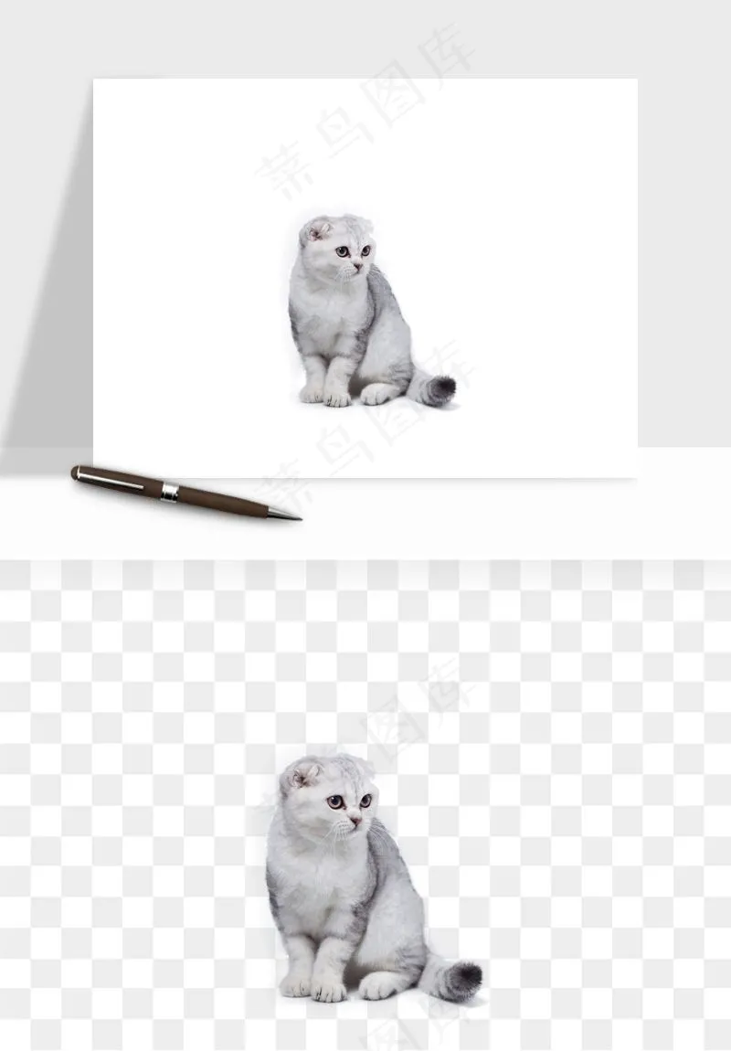 猫咪喵星人狗狗宠物元素png免抠
