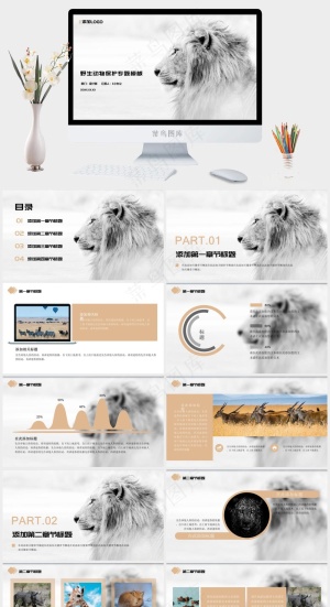 保护野生动物生态环境保护PPT预览图