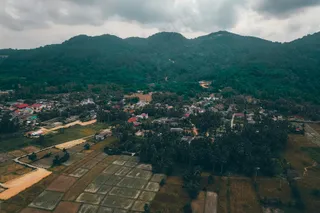绿意盎然的山村田园风光