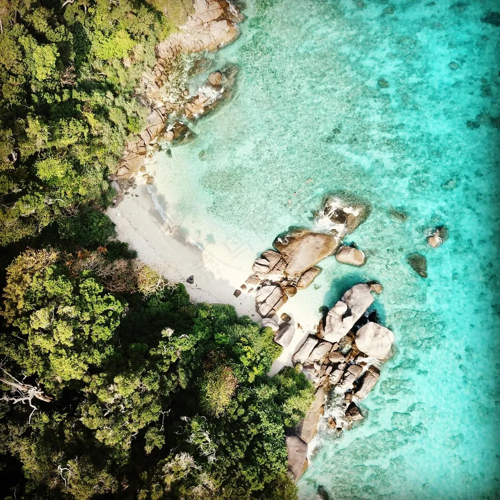 海滩绿意静谧景·自然清雅·蓝绿相映·赏析珍藏