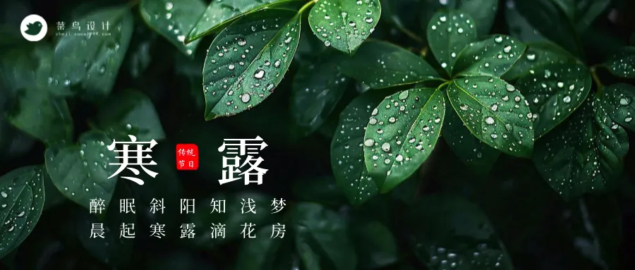 寒露公众号首图