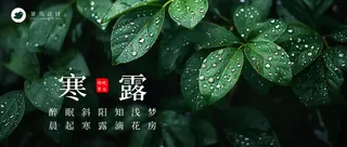 寒露公众号首图