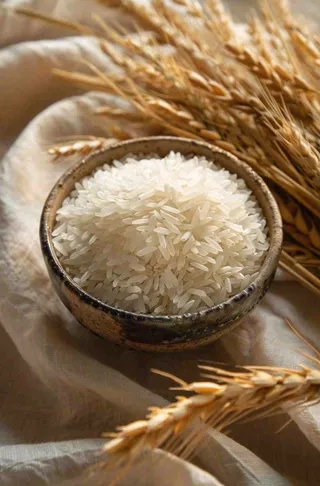 世界粮食日谷物米饭稻谷小麦摄影图