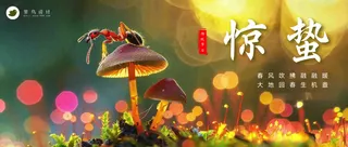 惊蛰公众号首图