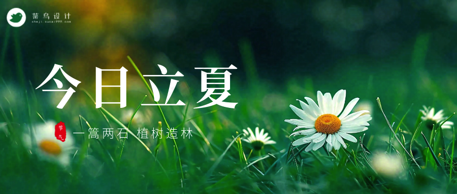 立夏公众号首图