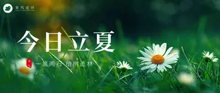 立夏公众号首图
