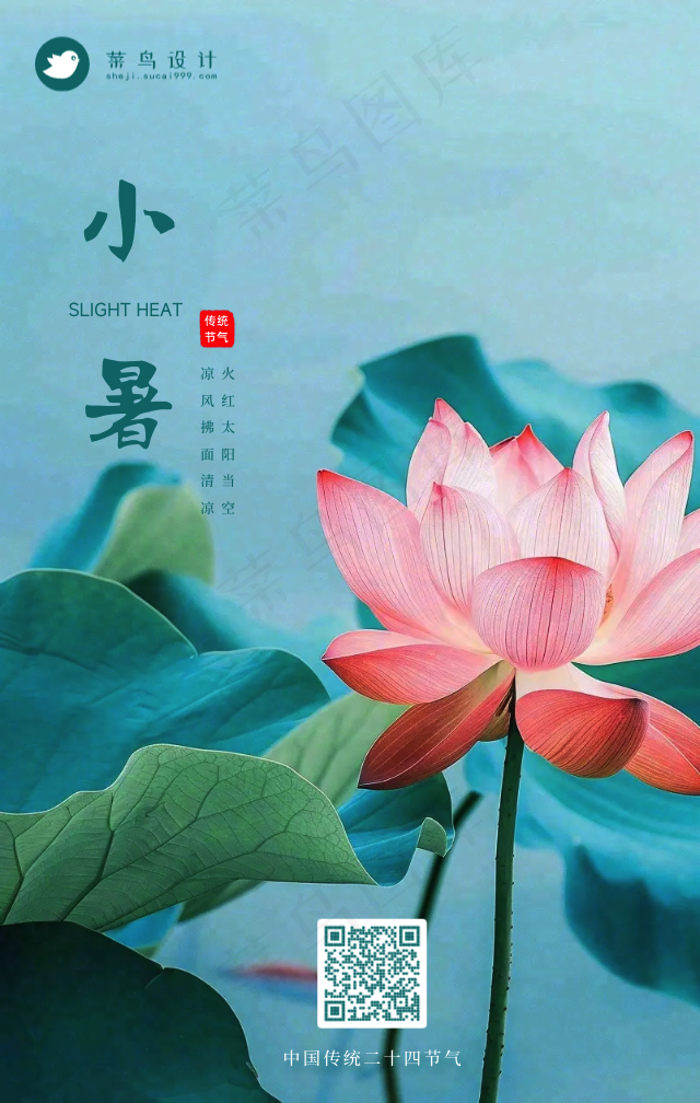 小暑手机海报
