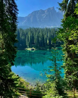 翠湖映山绿意浓 翠湖映山绿意浓