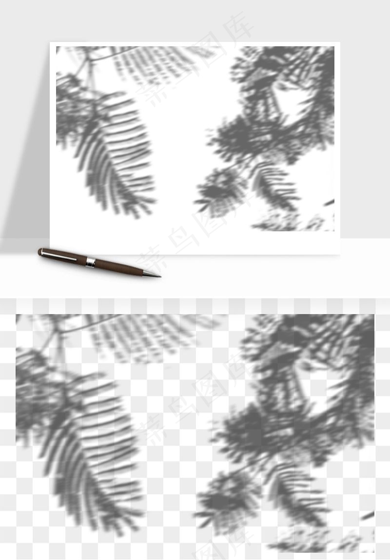 阴影植物窗户投影免抠元素