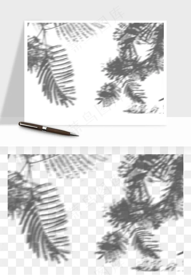 阴影植物窗户投影免抠元素