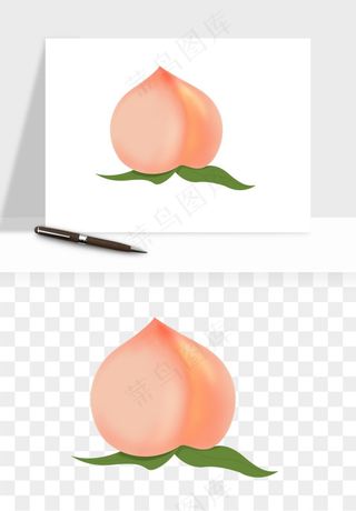 桃子油桃黄桃水果png免抠