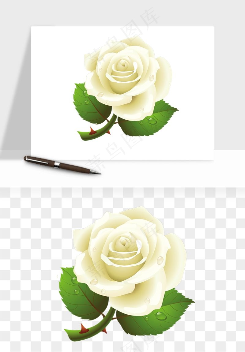 白玫瑰花枝花束png免抠