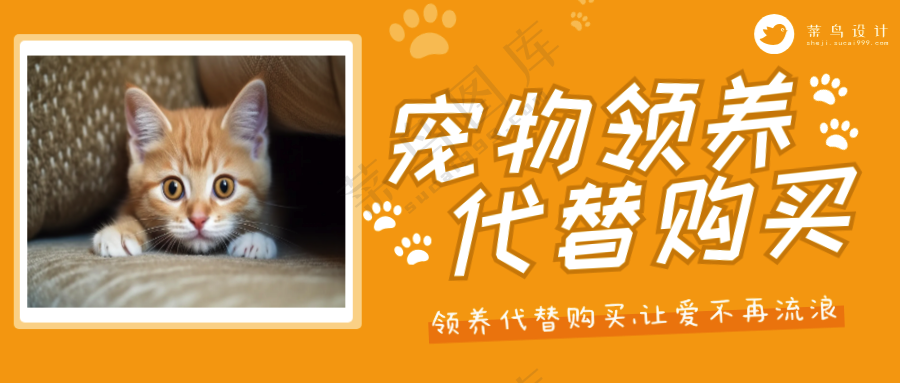 萌宠宠物寄养领养公众号首图