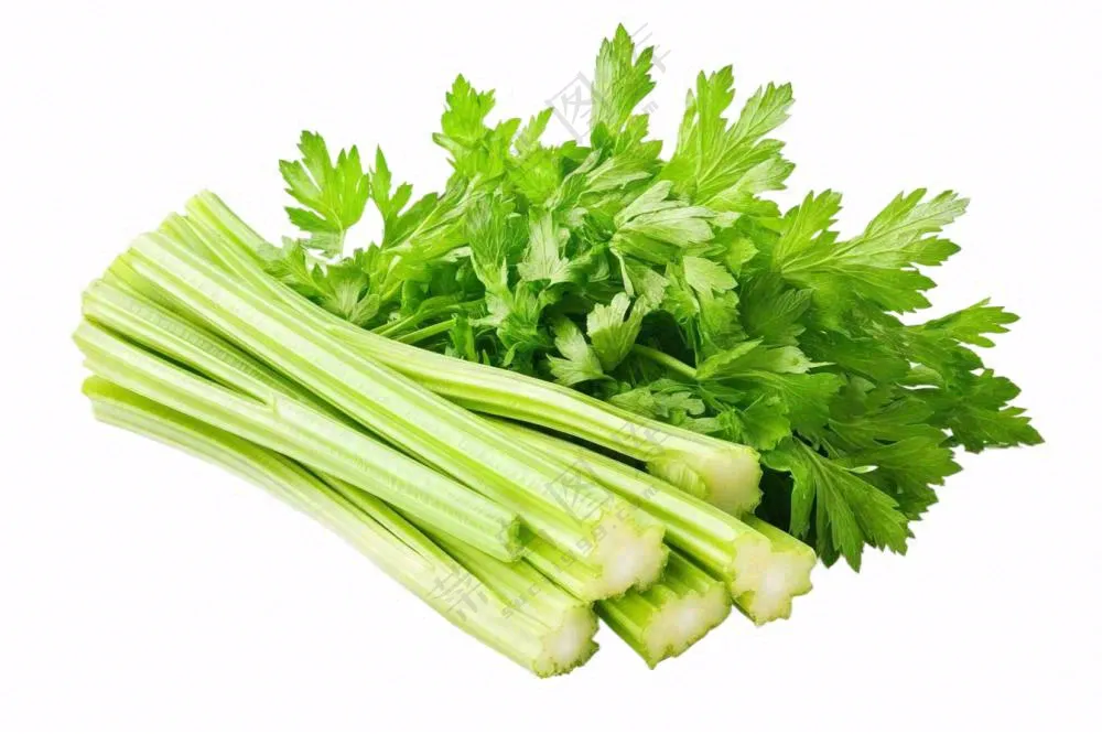 芹菜蔬菜免抠