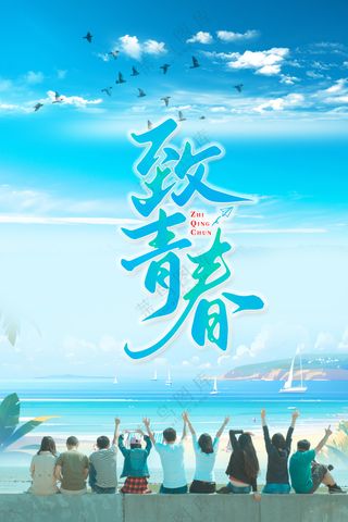 致青春海边欢呼青春背影温馨合影海报