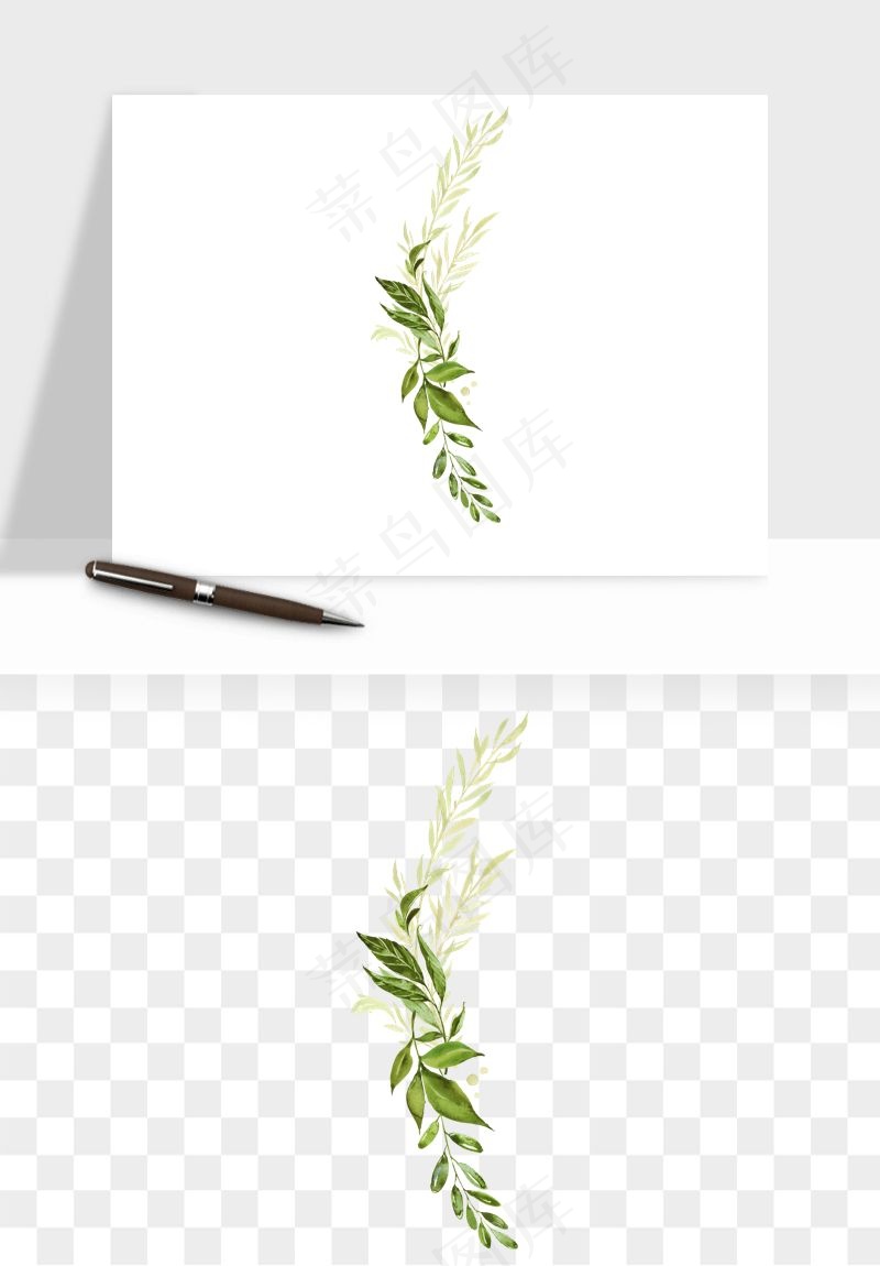 清新手绘植物png免抠