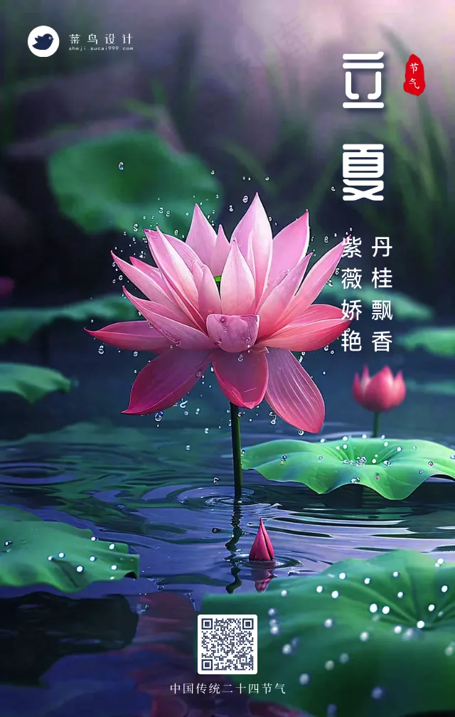 立夏手机海报