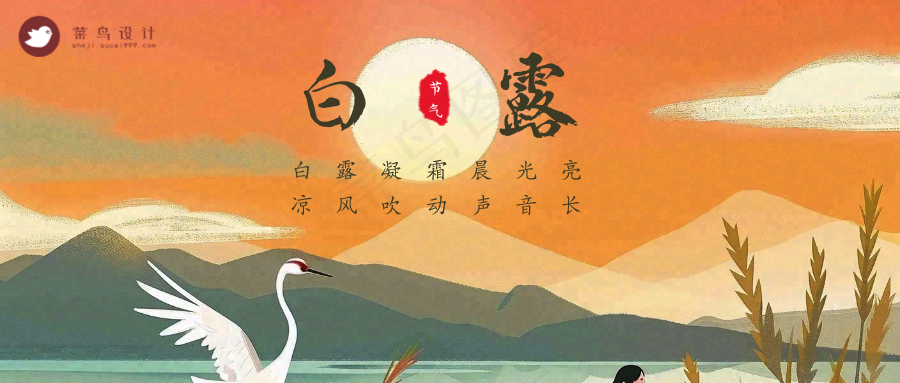 白露公众号首图