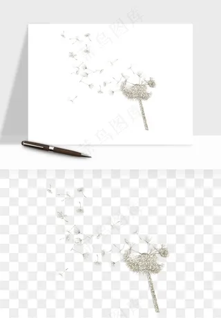 唯美蒲公英种子png免抠