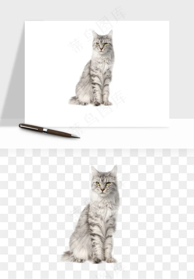 猫咪喵星人狗狗宠物元素png免抠