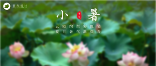 小暑公众号首图