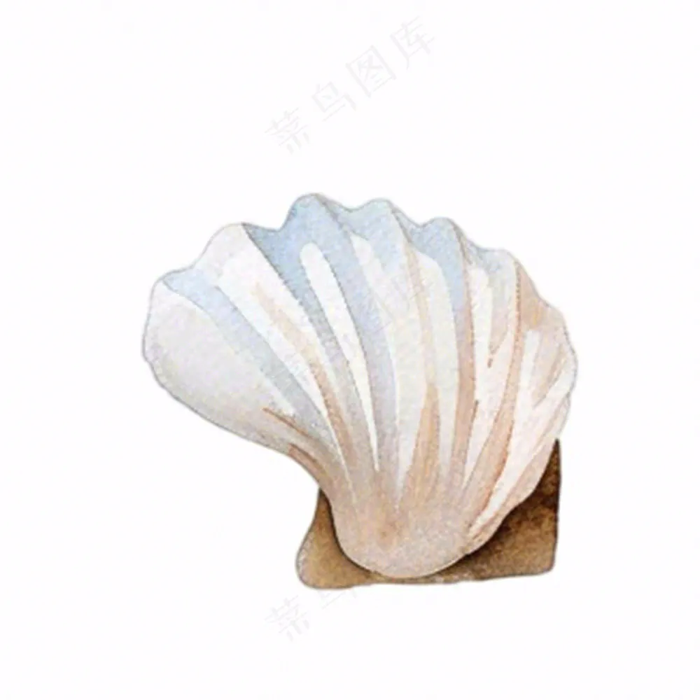 海洋扇贝贝壳卡通插画免抠