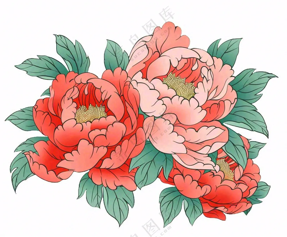 国花牡丹鲜艳花朵植物插画免抠