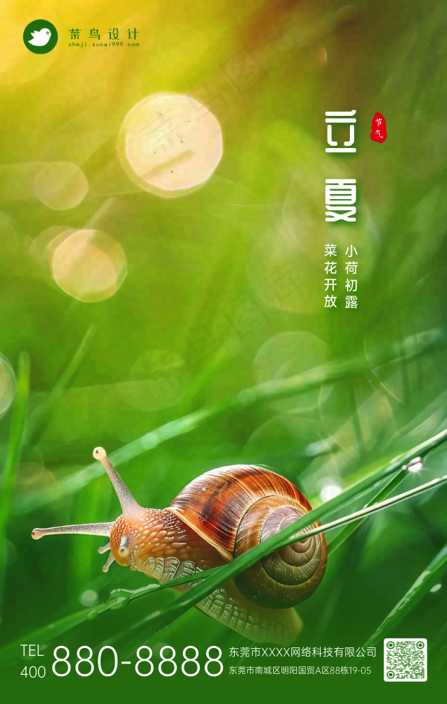 立夏手机海报
