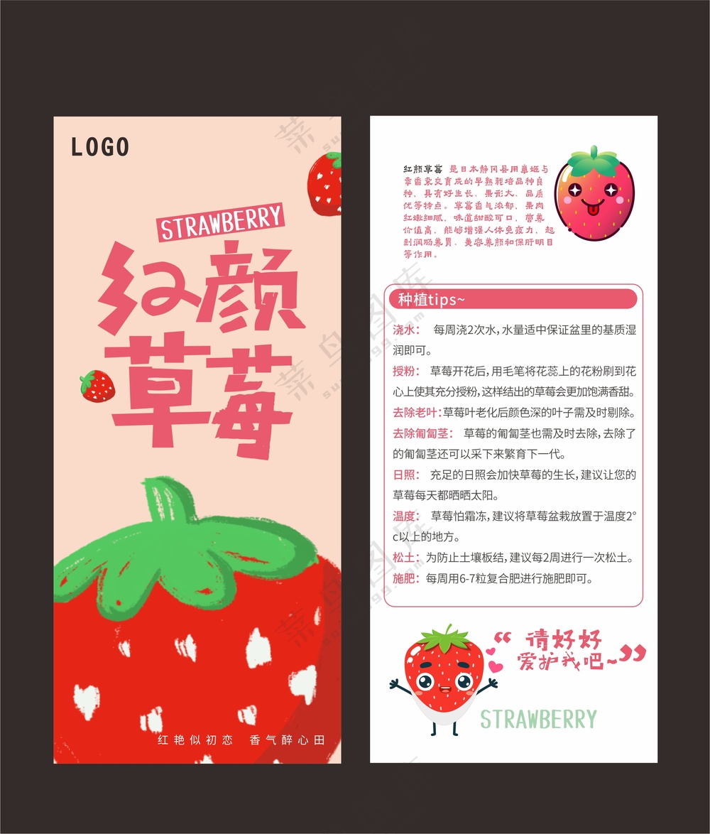 可爱草莓说明卡片