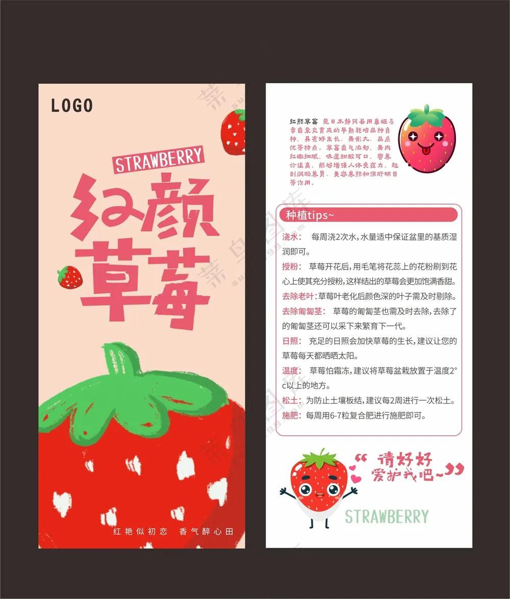 可爱草莓说明卡片