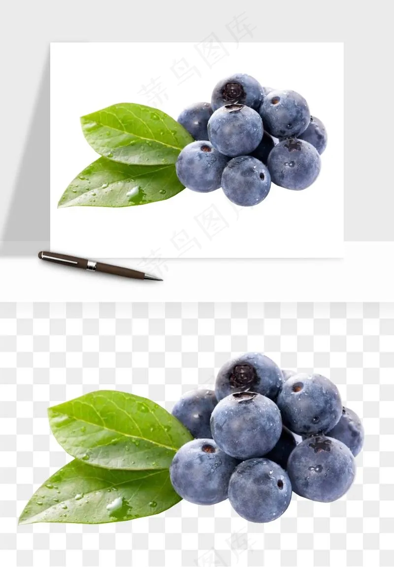 蓝莓水果png免抠