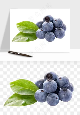 蓝莓水果png免抠