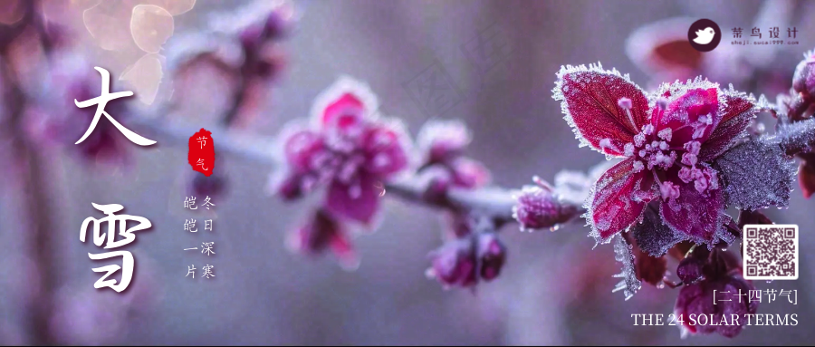 大雪公众号首图