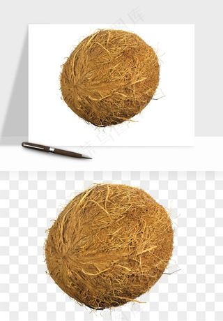 椰子椰果水果png免抠