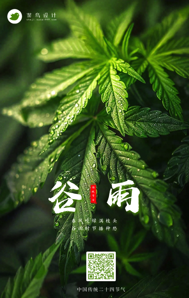 谷雨手机海报