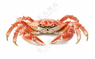 螃蟹海鲜摄影图